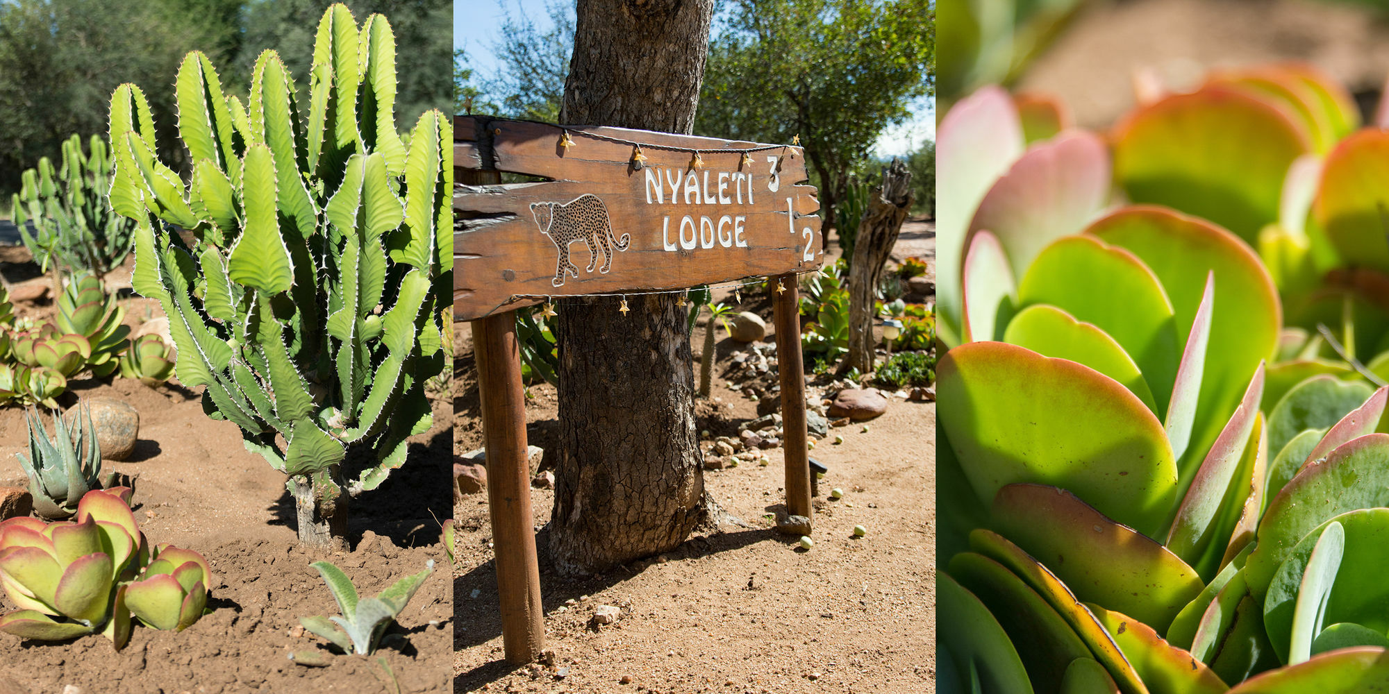 Nyaleti Lodge フッドスプルイト エクステリア 写真